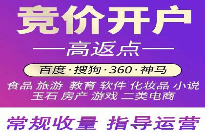 竞价排名广告投放案例